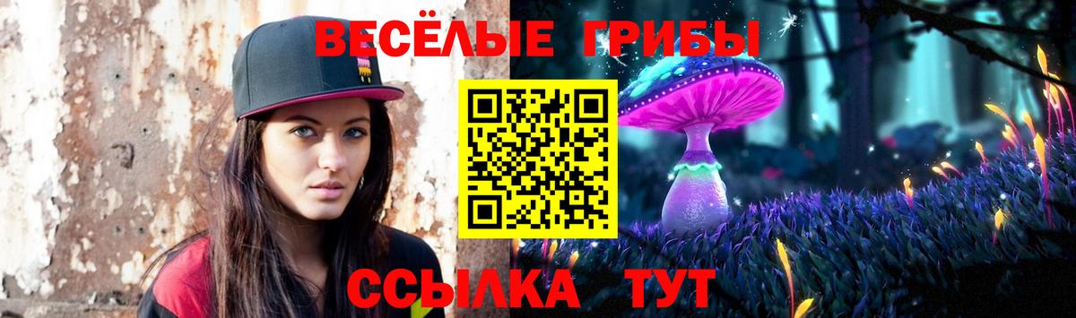 Галлюциногенные грибы прущие грибы Сызрань