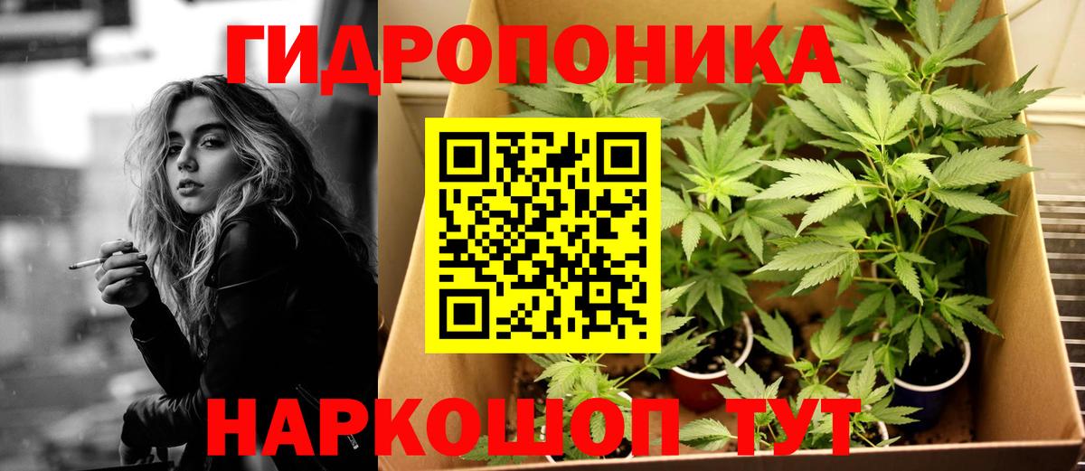 Шишки марихуана White Widow  Вход с VPN  Сызрань  Канабис THC 21%  Канабис конопля 
